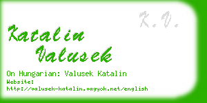 katalin valusek business card